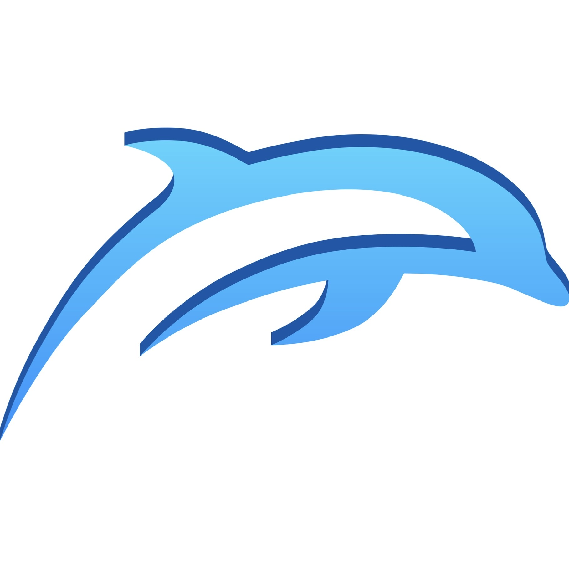 Logo for Dolphin Sealcoating