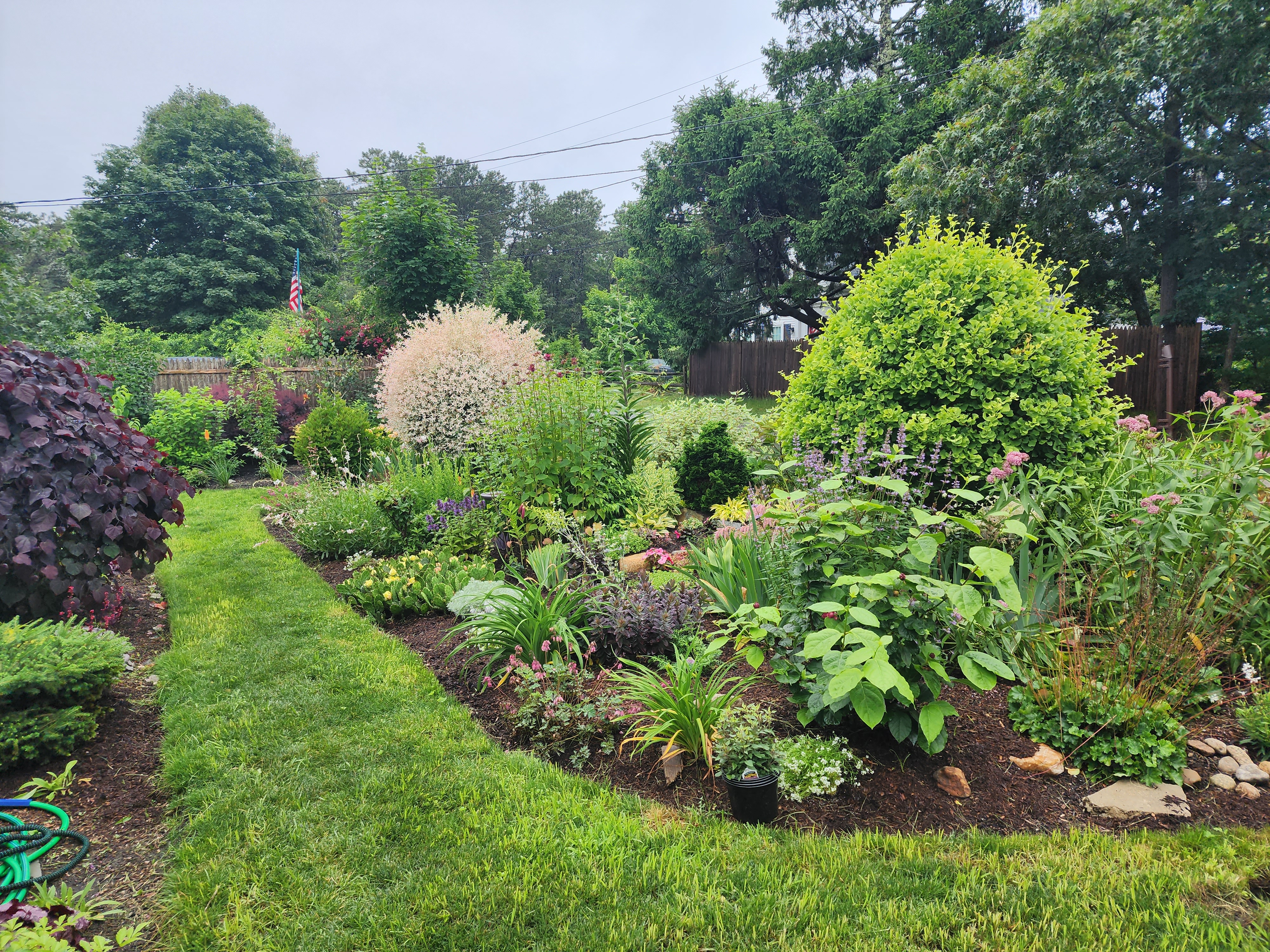 Apex Landscaping LLC logo