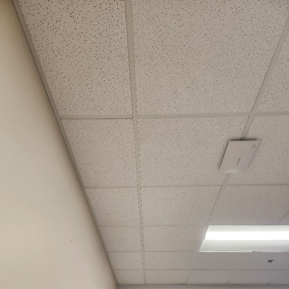 Lions Acoustical Services / Terminator Electric logo
