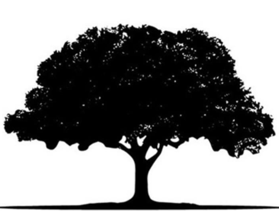 NexGen Tree Services logo