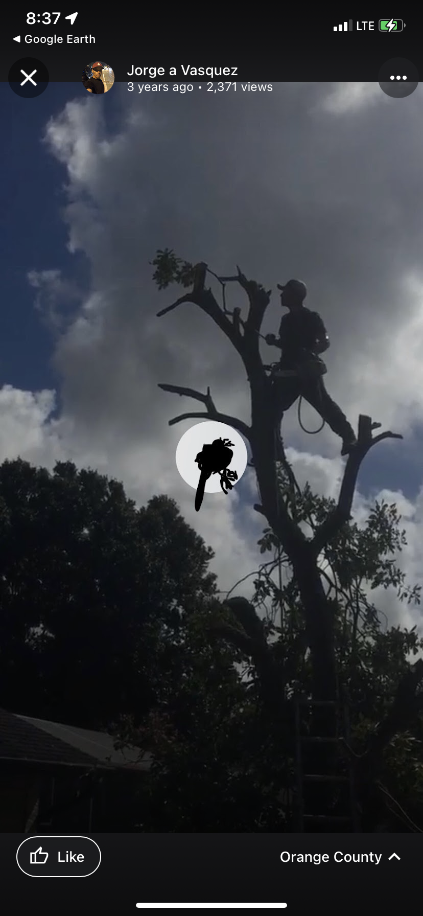 Avatar for JV Tree Services LLC