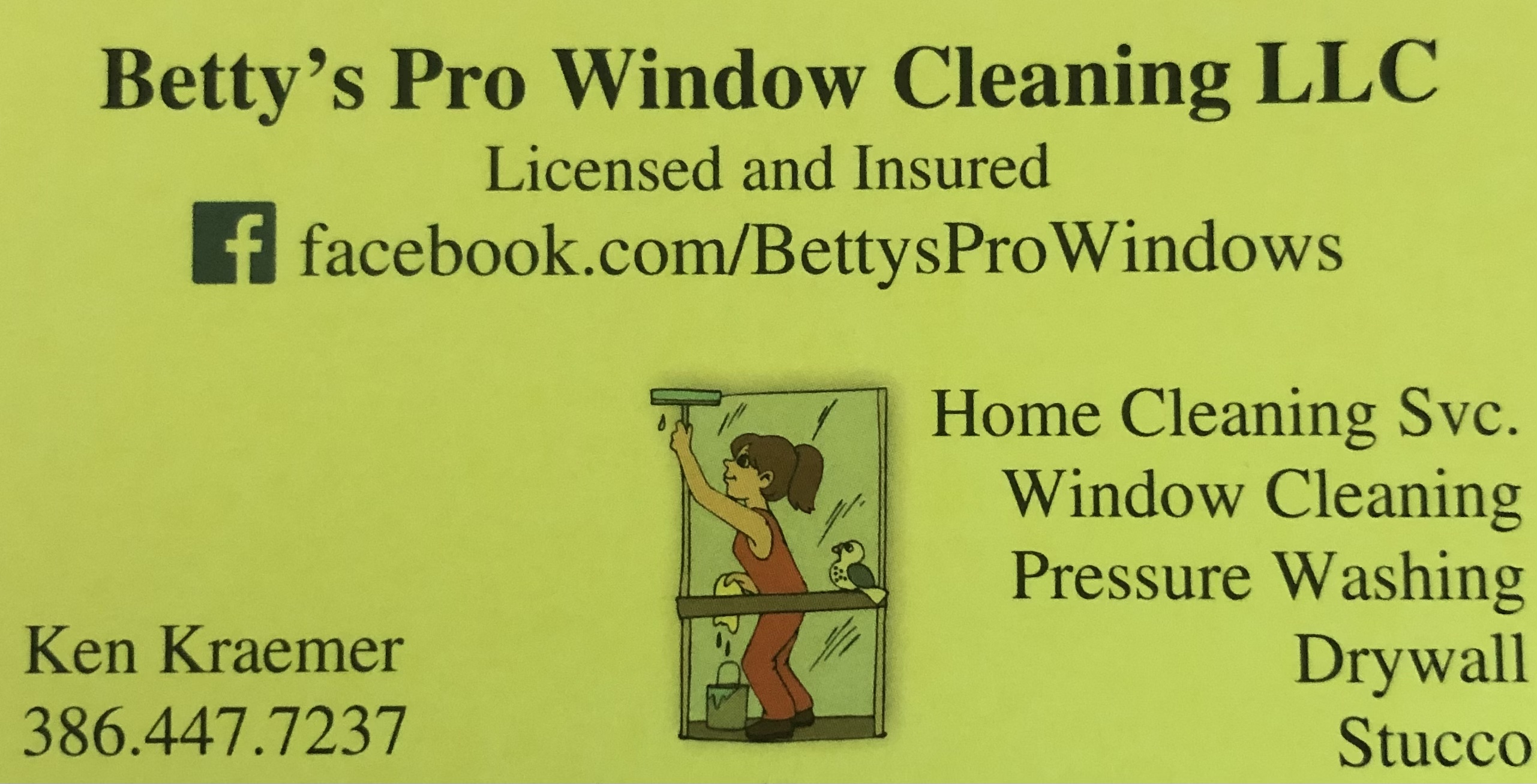 Betty's Pro Windows LLC logo