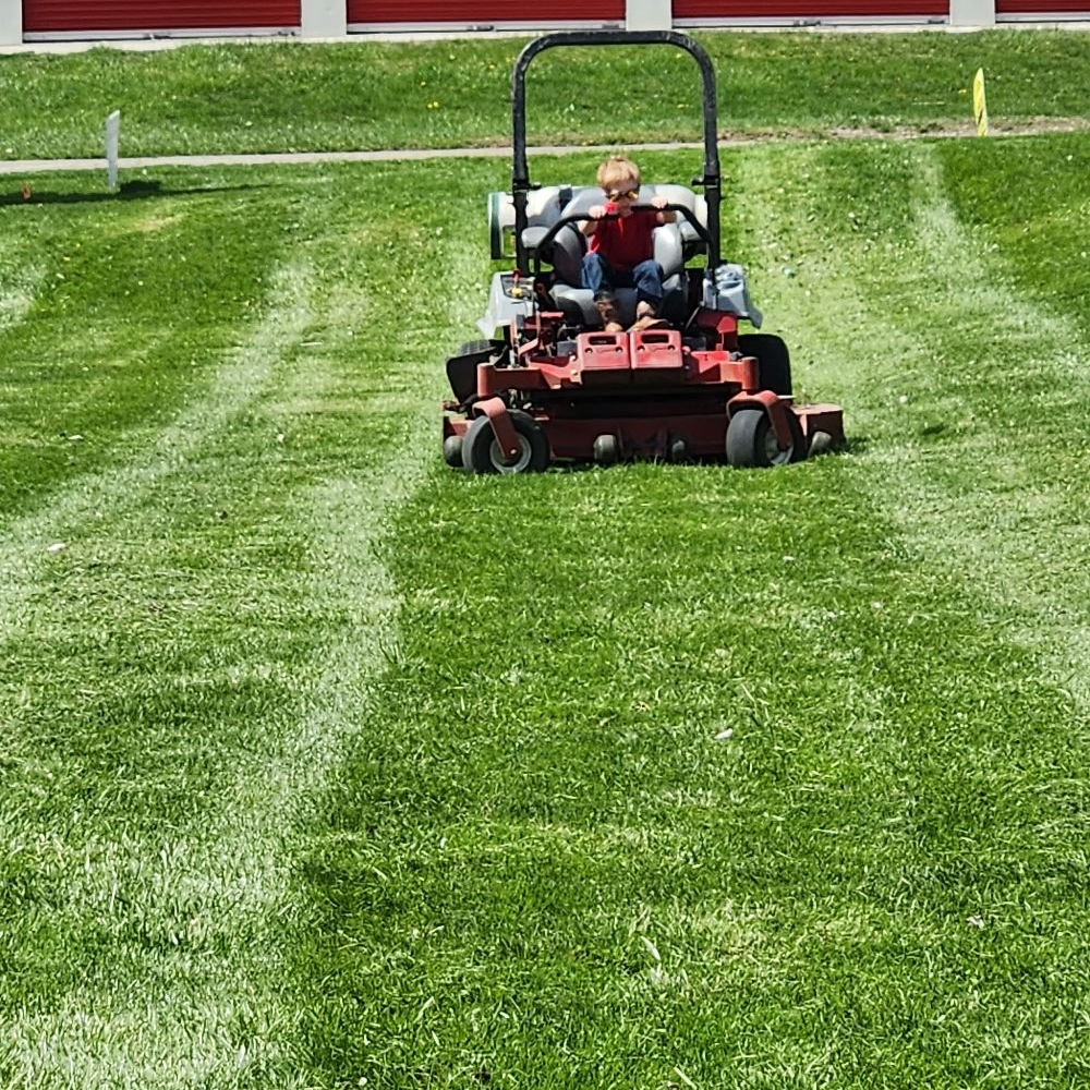 Avatar for Big Boyz Lawn & Landscape