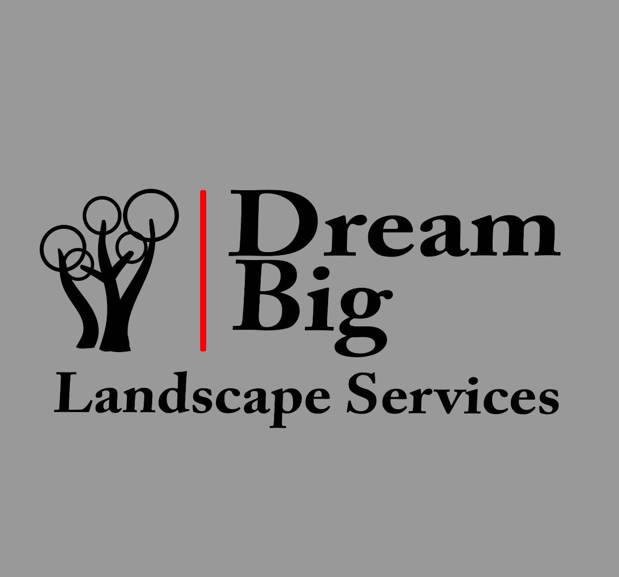 Avatar for Dream Big Landscape Services
