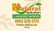 Avatar for Natural Solutions Landscaping
