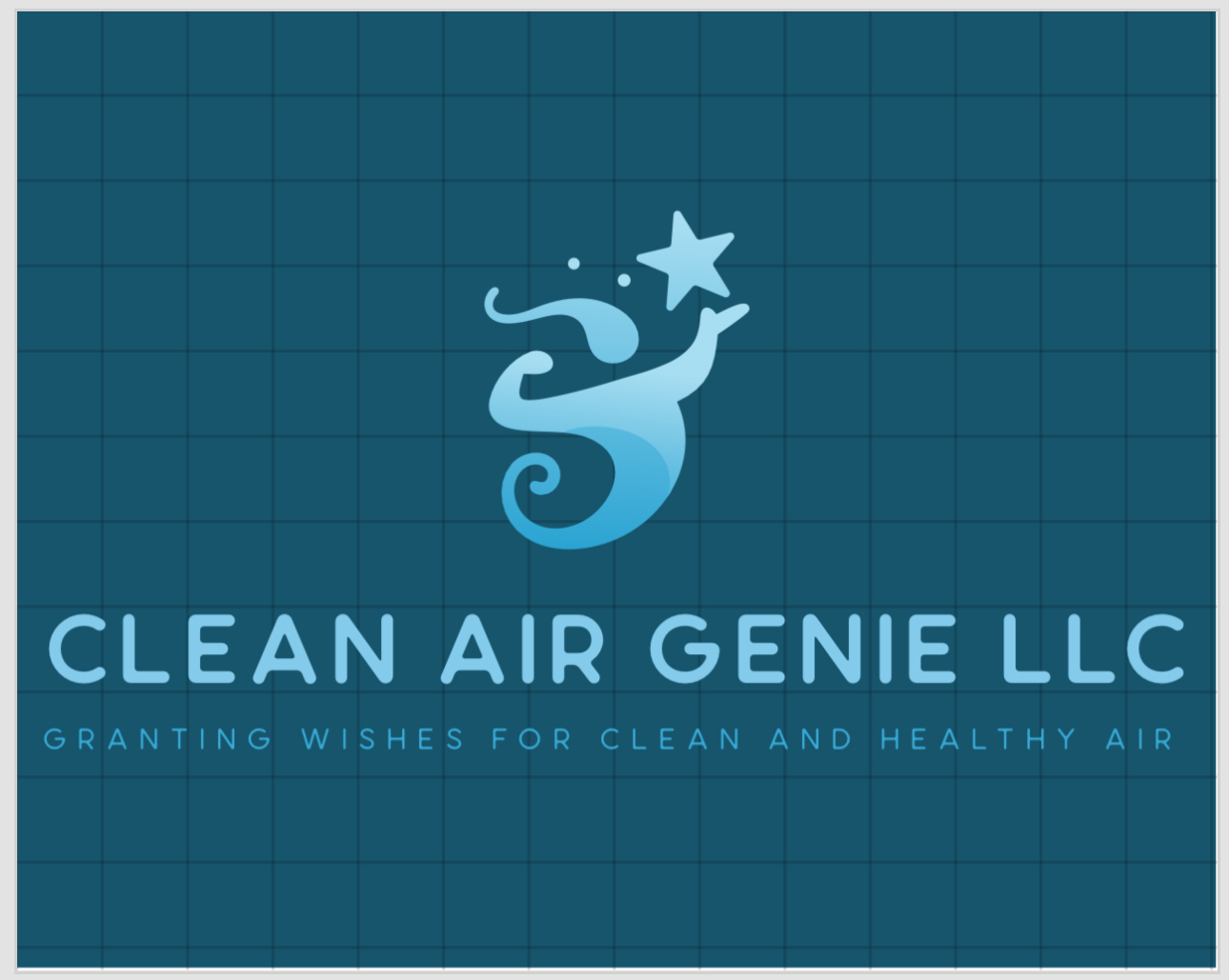 Avatar for Clean Air Genie LLC