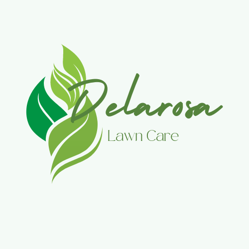 Avatar for Delarosalawncare