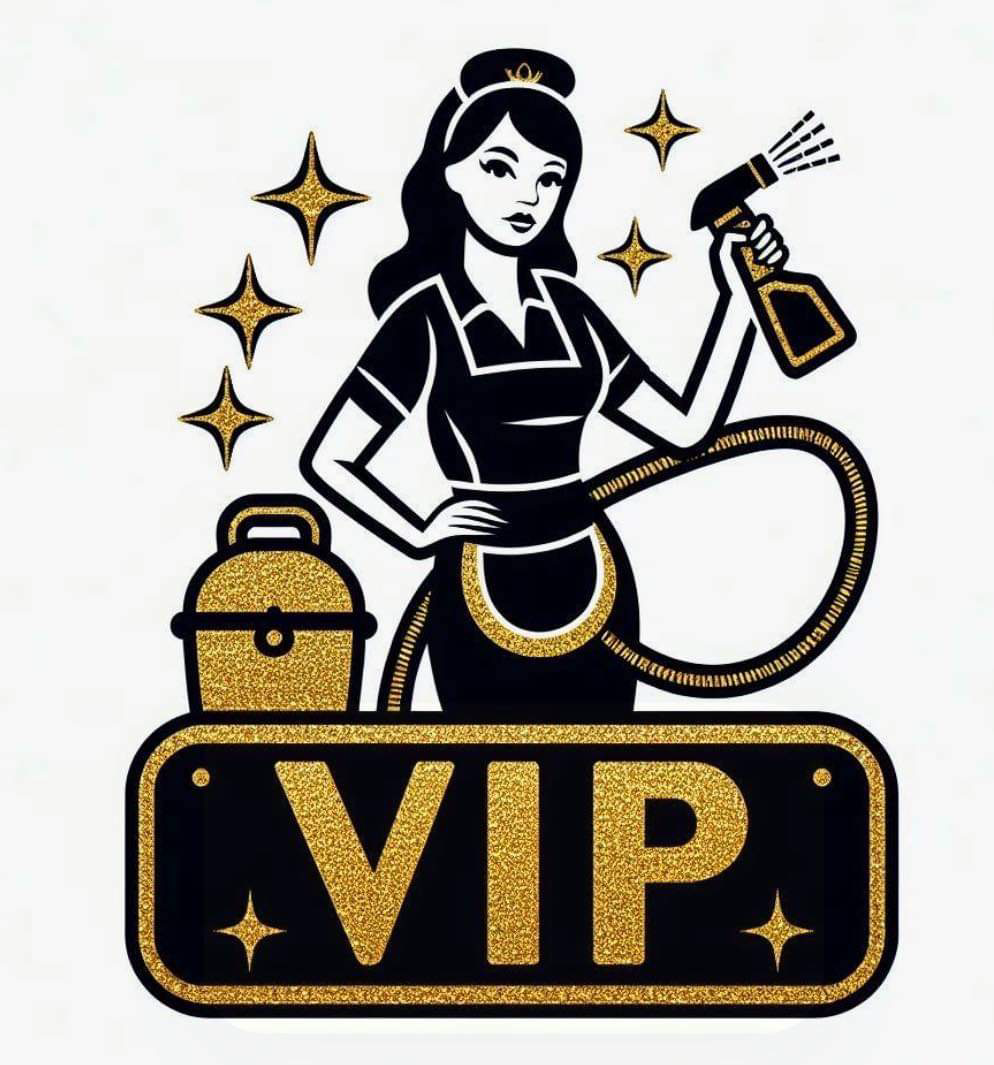 Avatar for Cleaning V.I.P