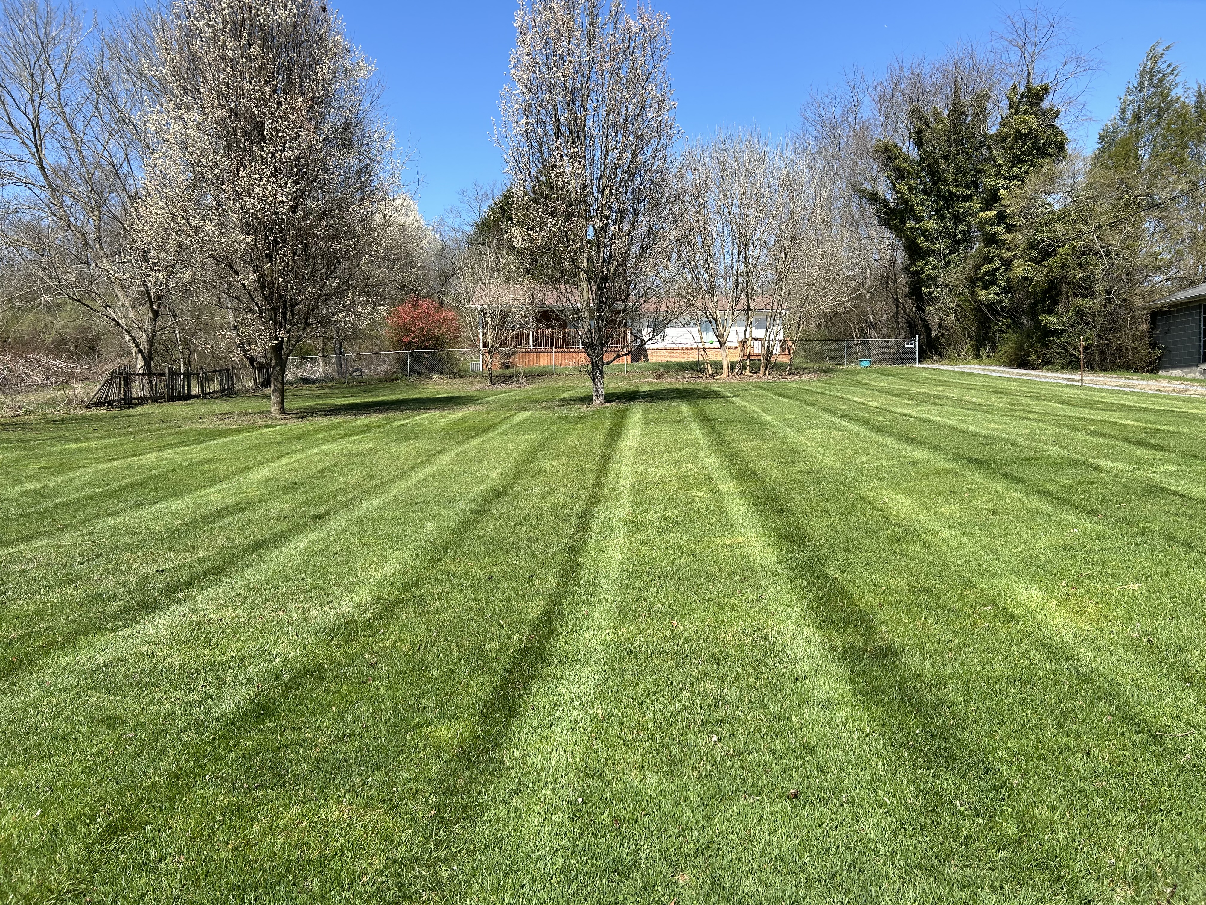 Avatar for WC Lawn Care LLC