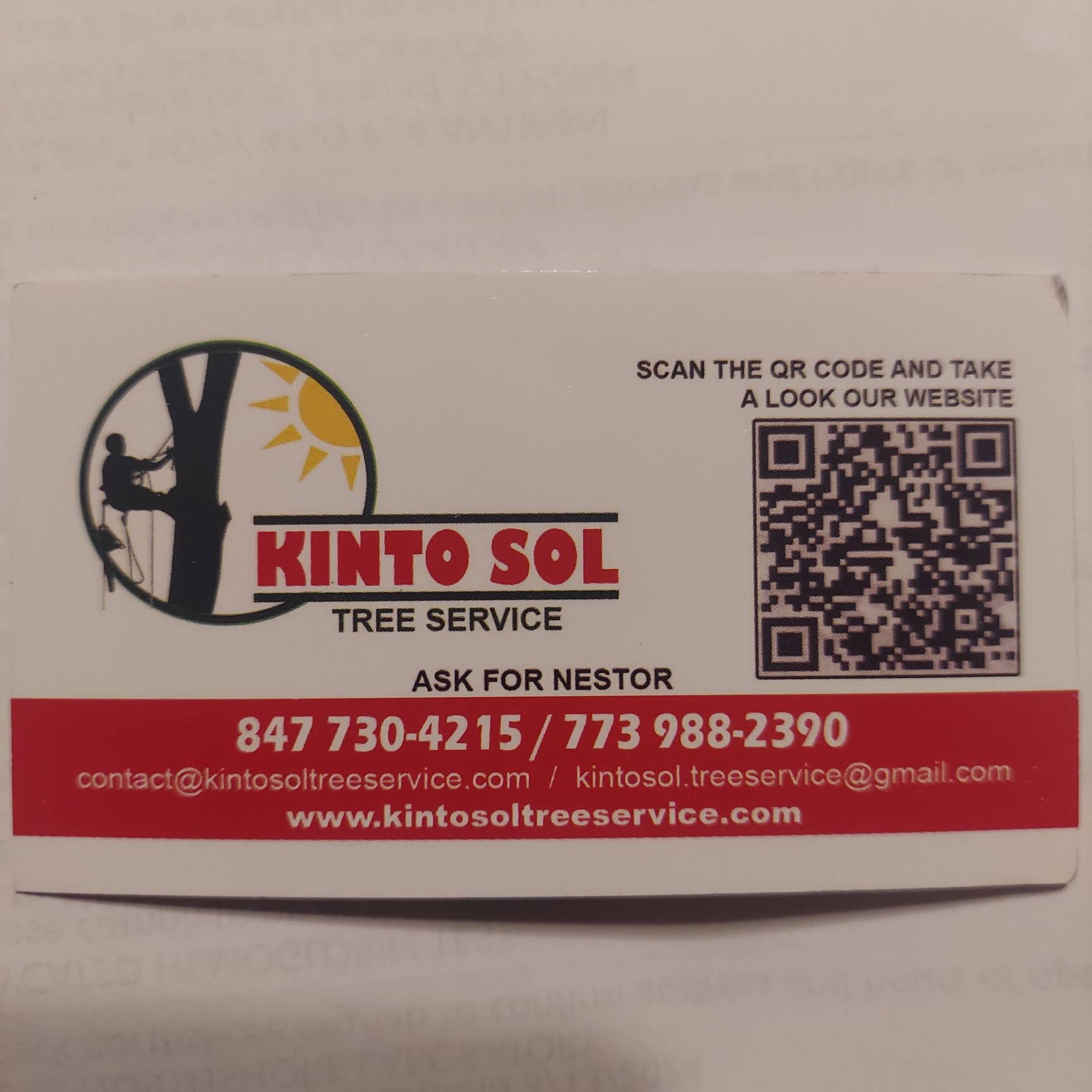 Kinto Sol Tree Service & Landscaping logo