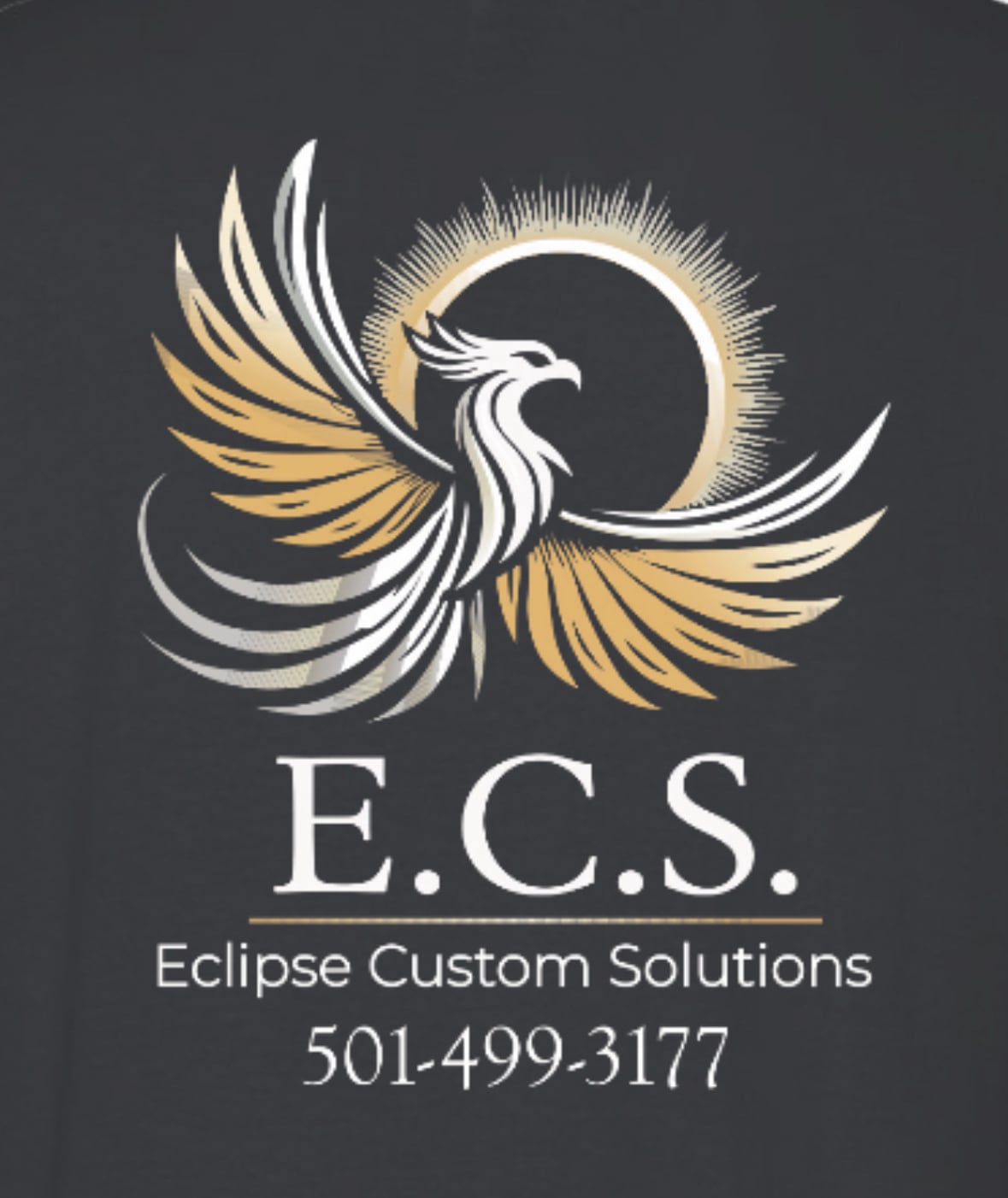 Avatar for E. C. S. LLC