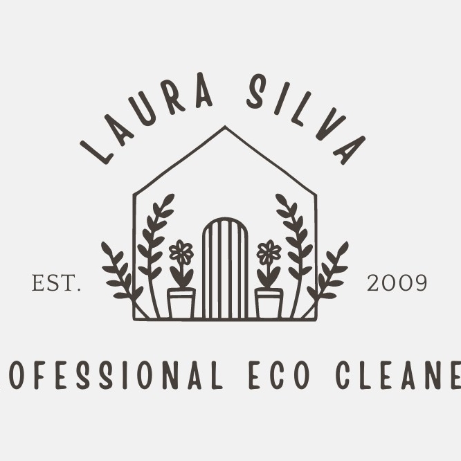 Avatar for Silva Eco Cleaning