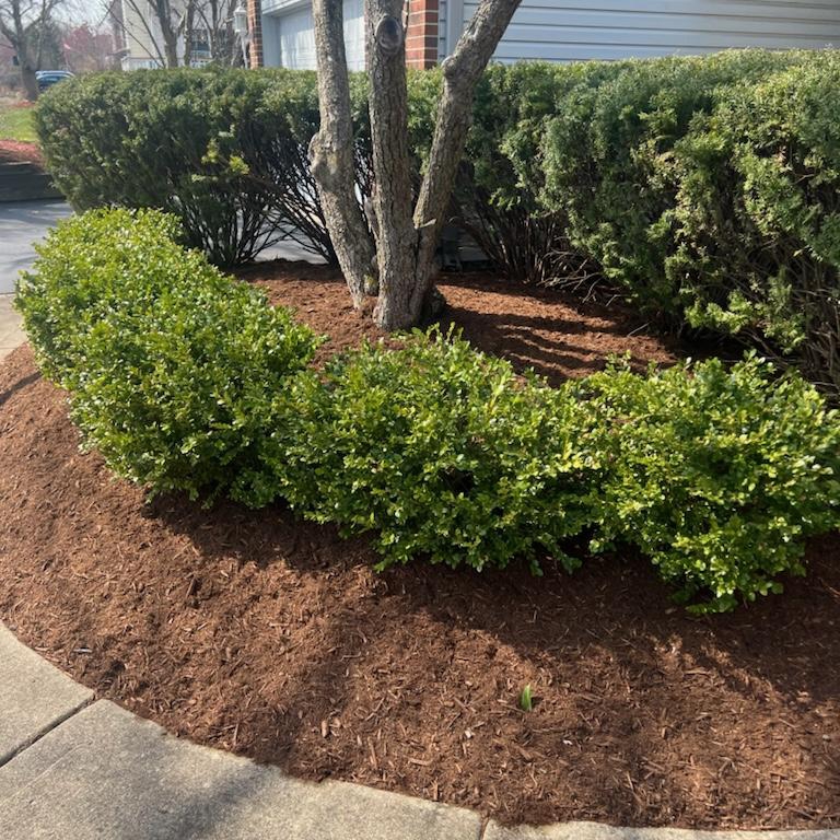 Avatar for Art Landscaping