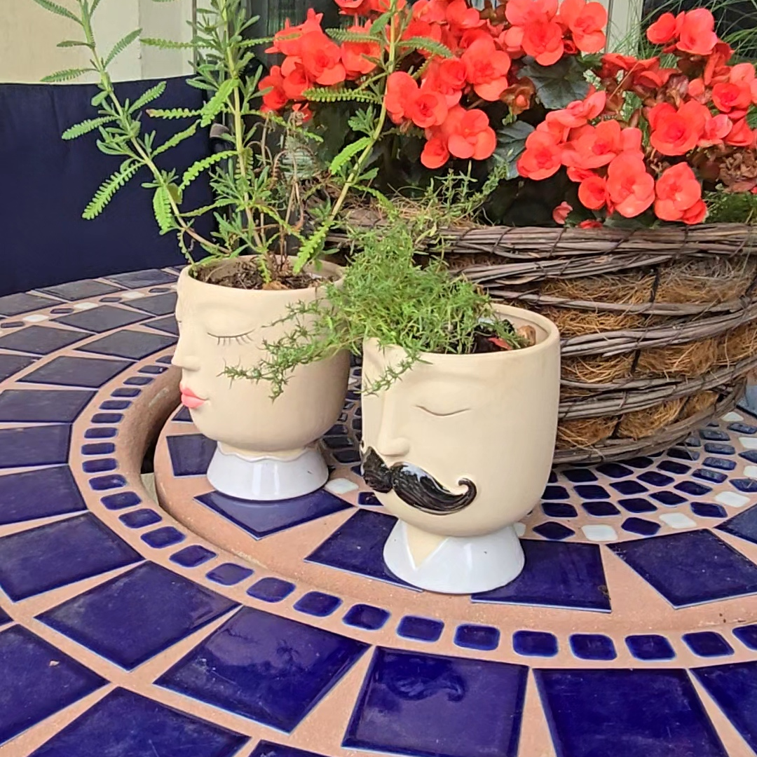 Avatar for Garden Gals LLC