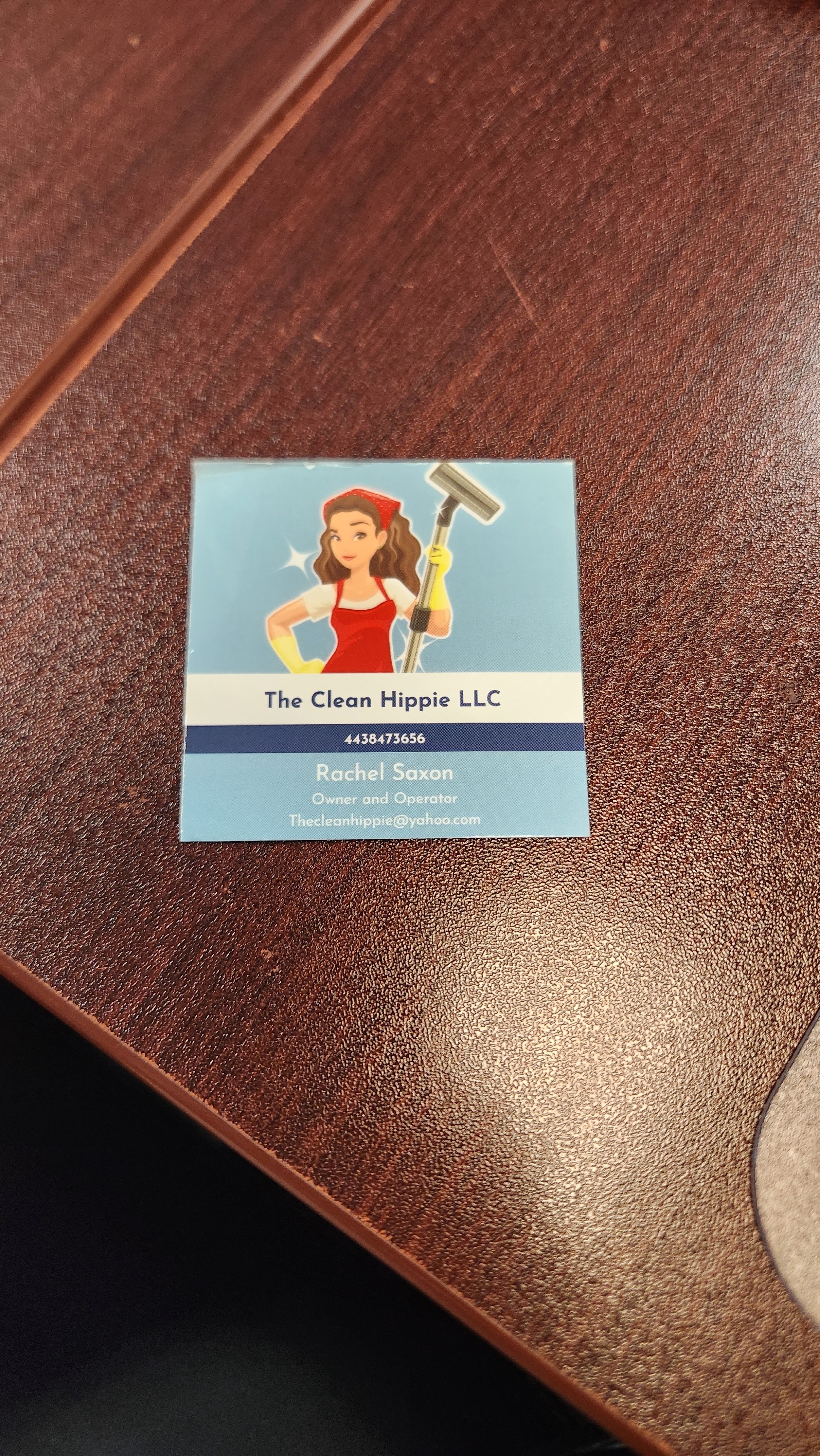 Logo for The Clean Hippie