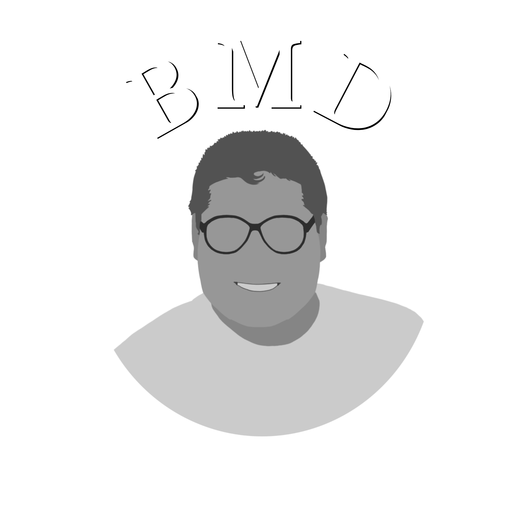 BMD Construction logo