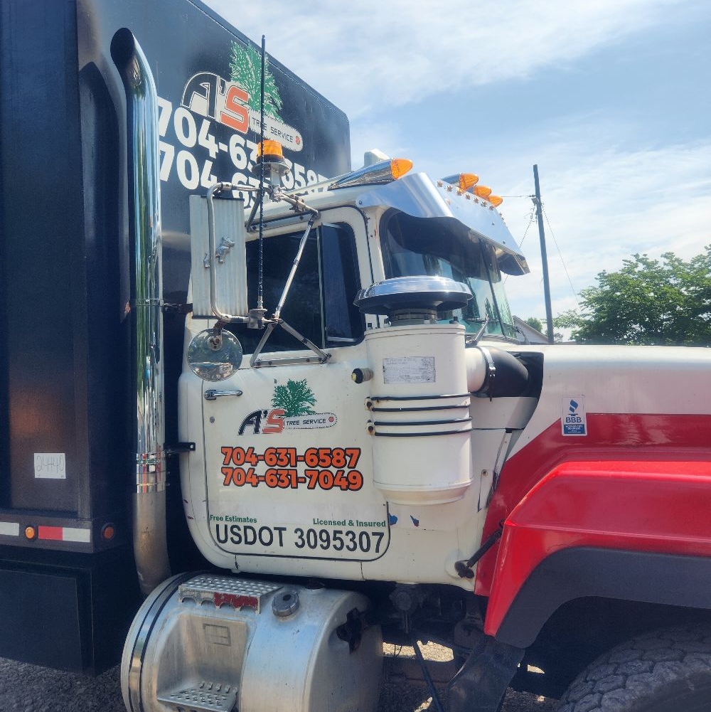 Avatar for A's Tree Service