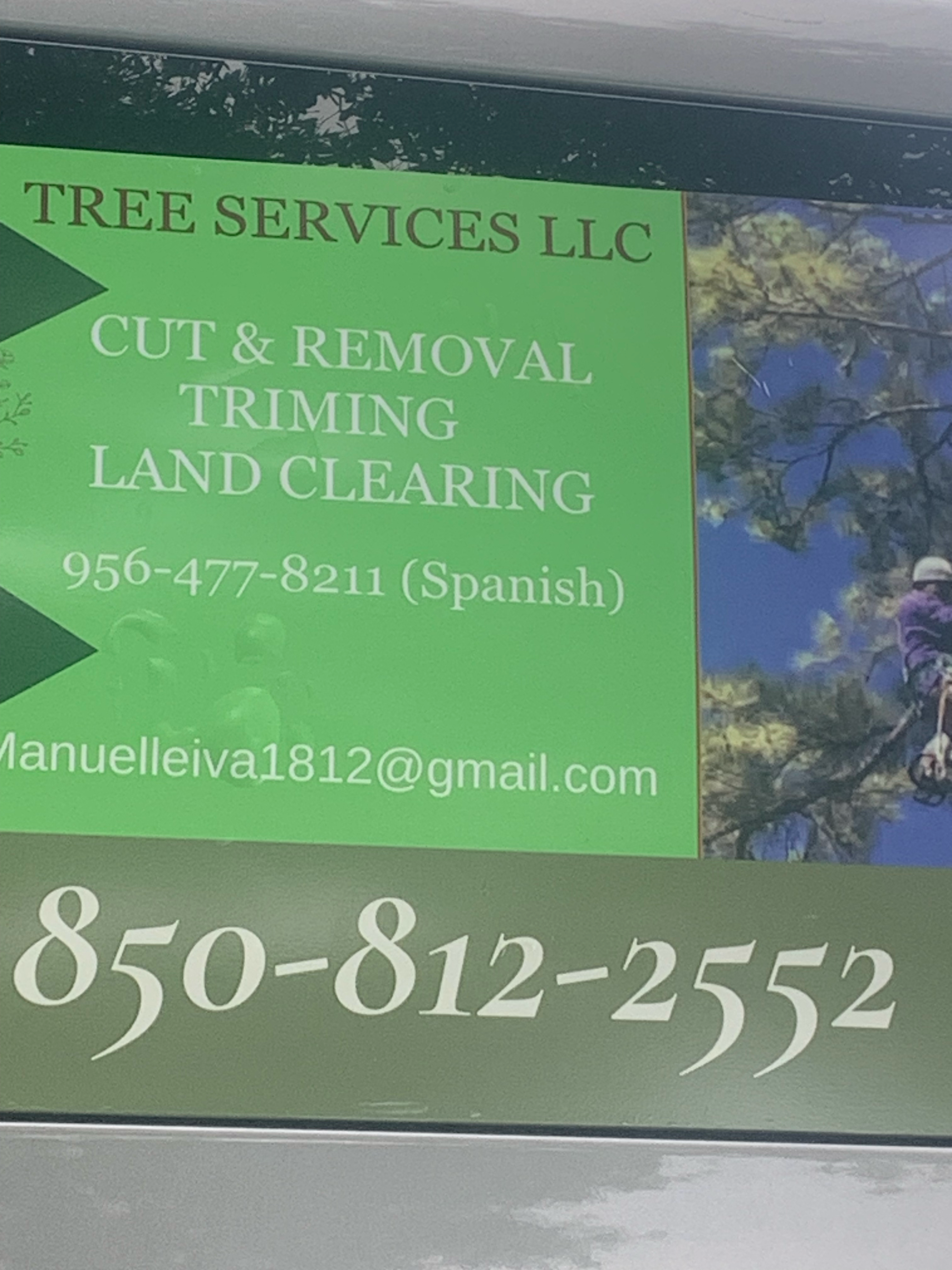 Avatar for Leiva Construction and Tree Services LLC