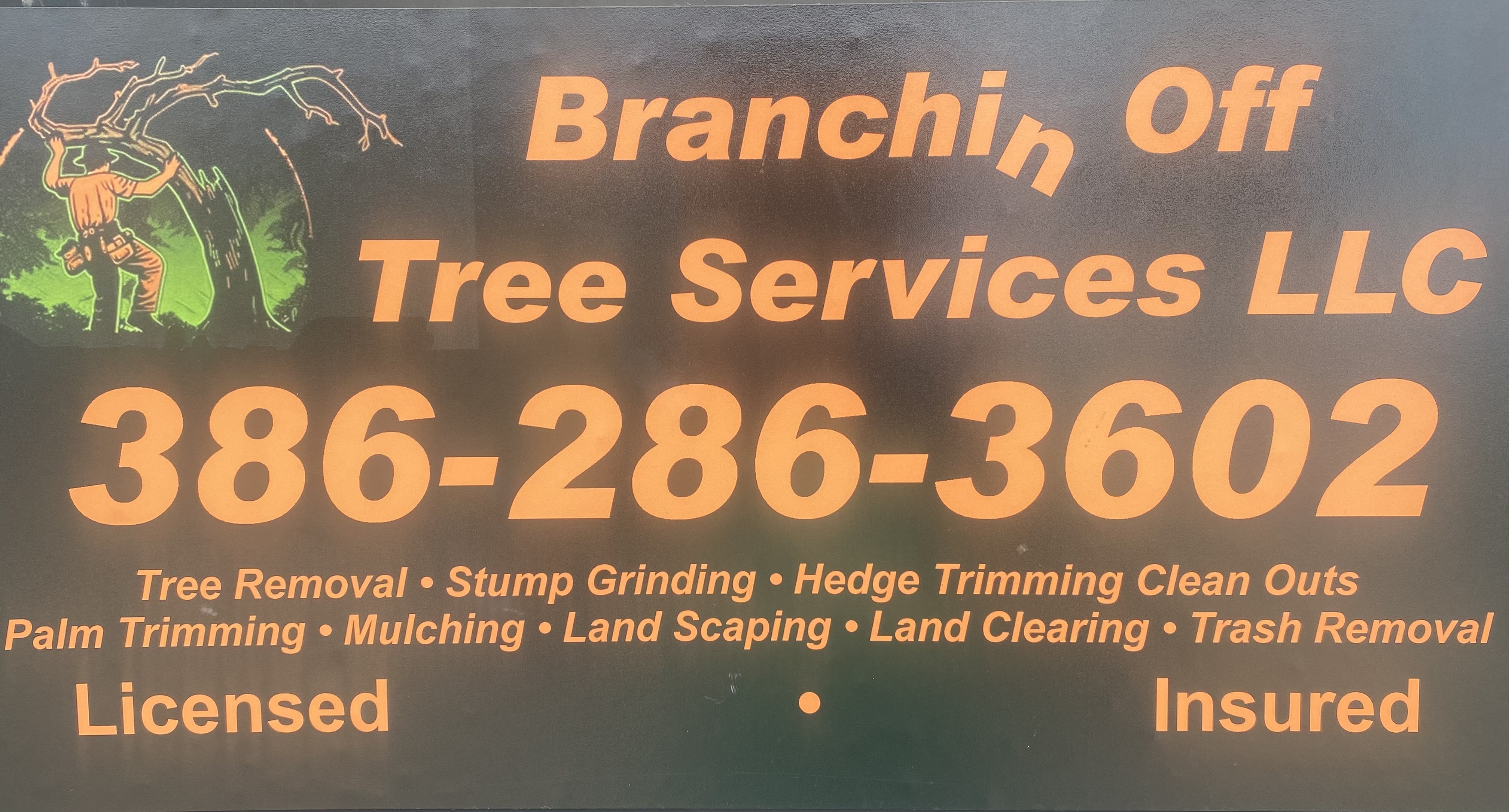 Logo for Branchin Off Tree Services LLC