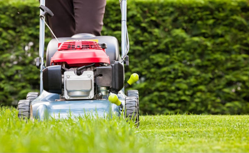 Logo for Eli Lawn and Yard Work LLC
