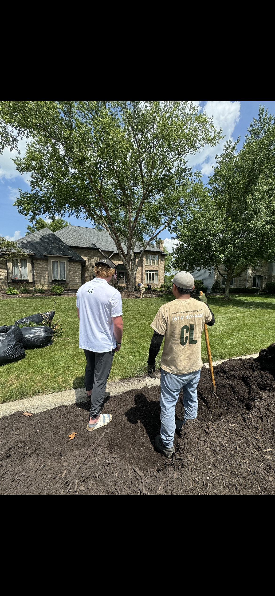 Collegiate Landscaping logo