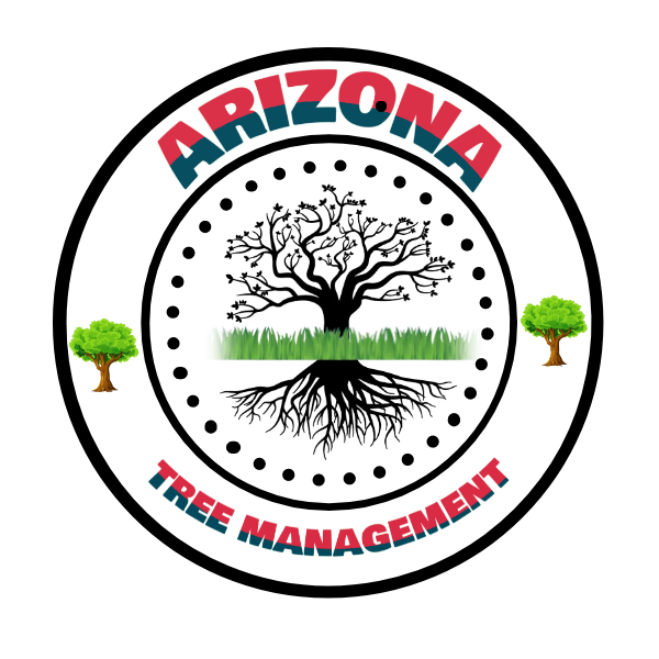 Avatar for Arizona Tree Management