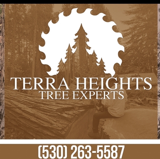 Avatar for Terra Heights Landscaping
