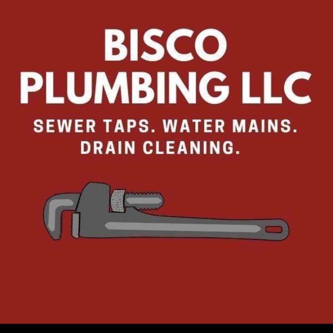 Bisco plumbing LLC logo
