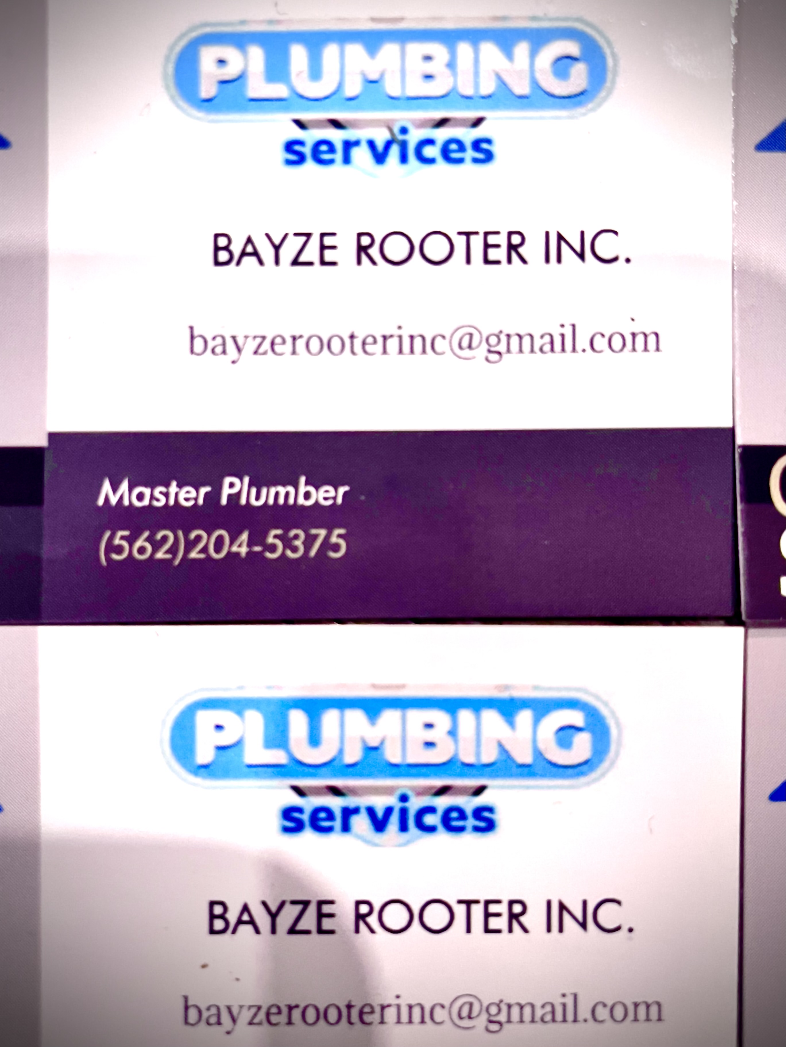 Avatar for BAYZE ROOTER INC