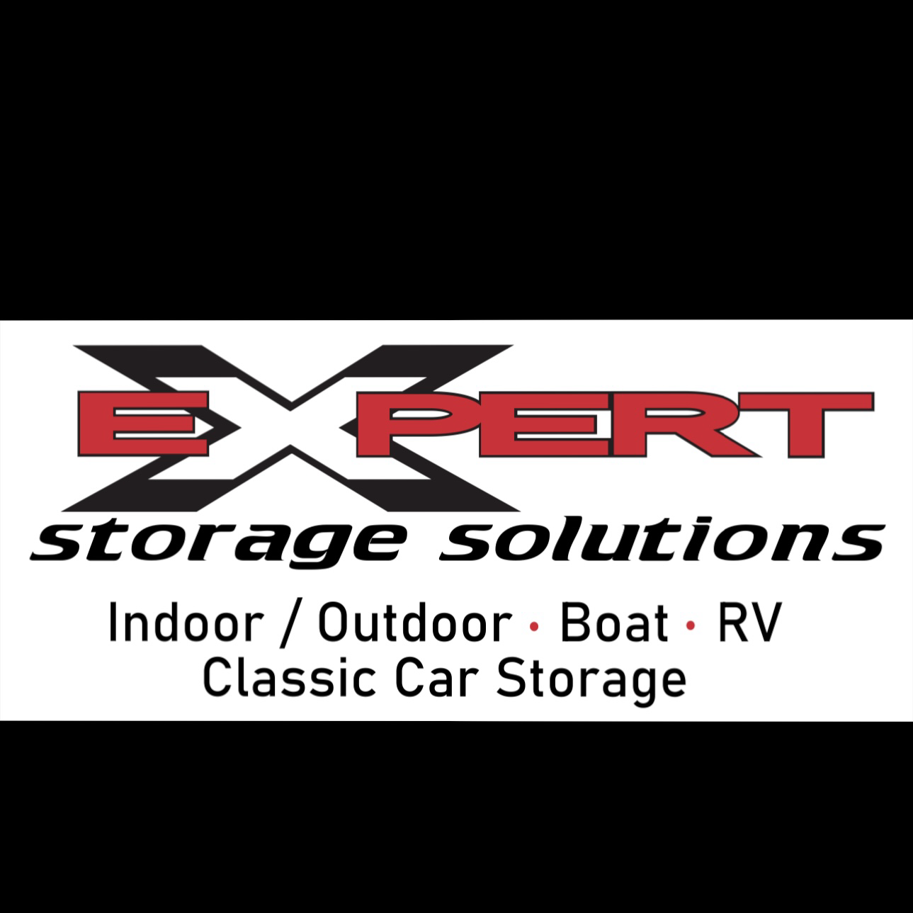Expert Storage Solutions logo