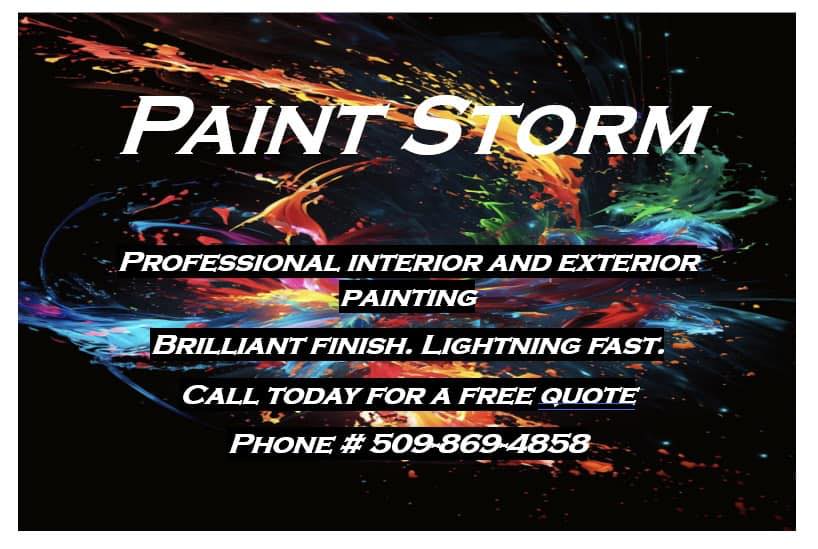 Paint Storm logo