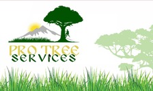 Avatar for Pro Tree Services