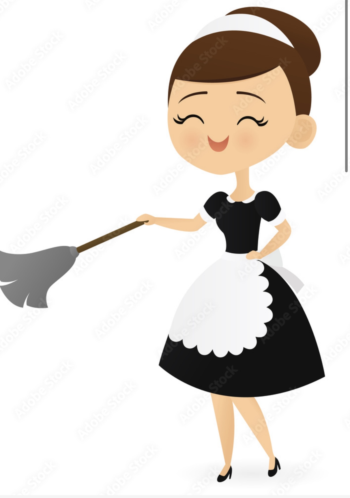 Socorros Maids logo