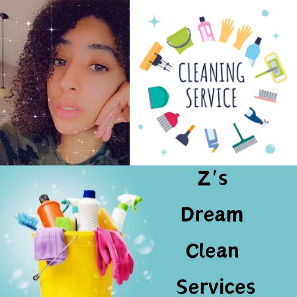 Z's Dream Clean Services logo