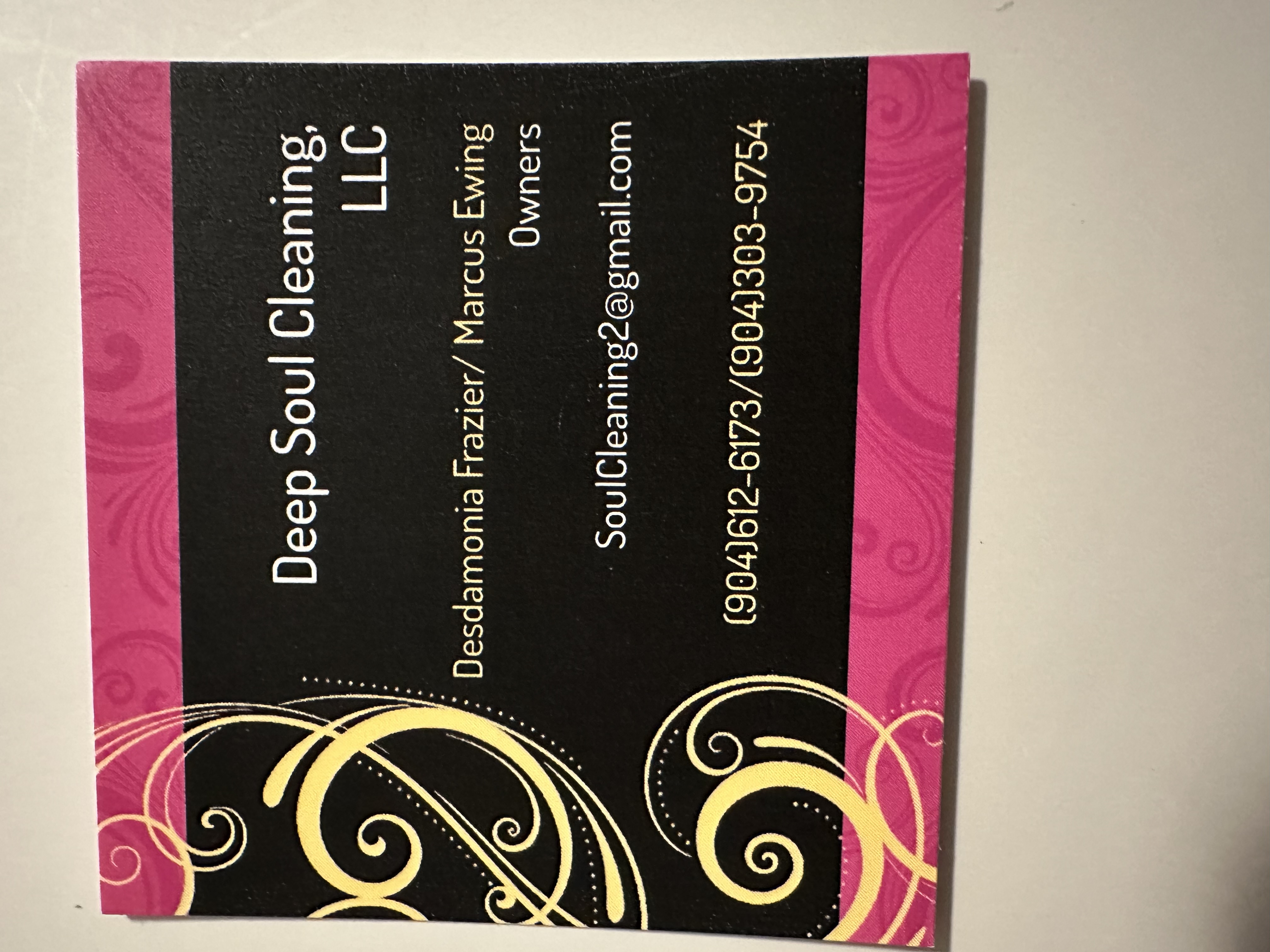 Deep Soul Cleaning,LLC logo