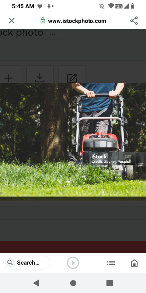 SchmuckyD's Lawn and yard care logo