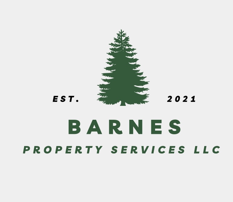 Barnes Property Services LLC logo