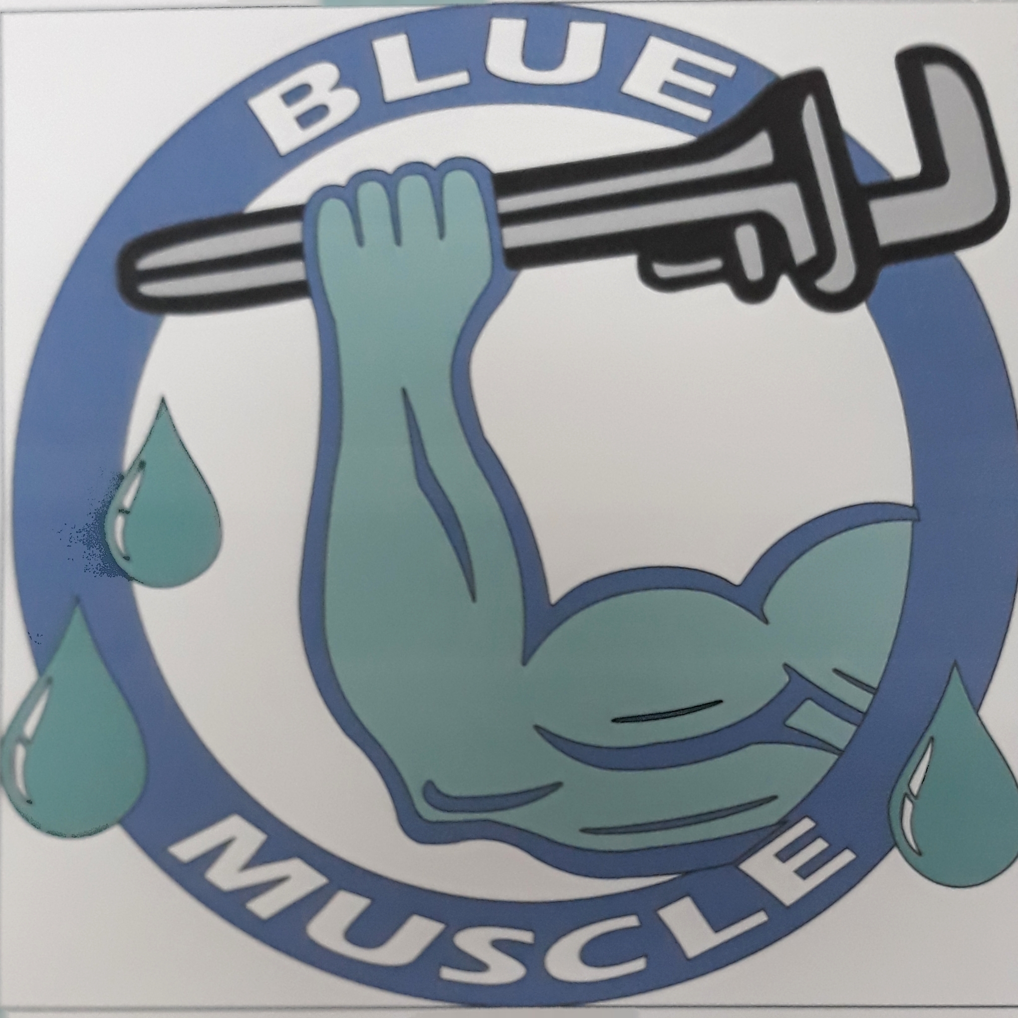 Blue Muscle Plumbing And Rooter Service logo