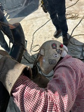 Avatar for Ark Quality Welding