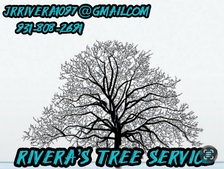 Avatar for Riveras tree service