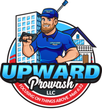 Avatar for Upward Prowash