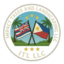 Avatar for Impact Trees and Landscaping LLC