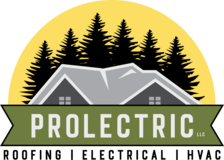 Avatar for Prolectric LLC