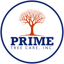 Logo for Prime Tree Care, Inc.