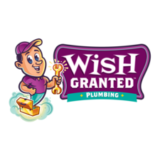 Avatar for Wish Granted