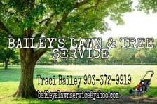 Avatar for Baileys Lawn N Tree Service