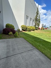 Avatar for JT Landscaping