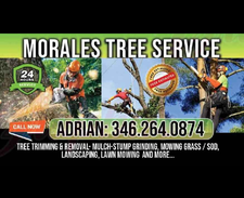 Morales Tree Service logo