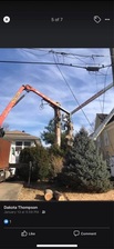 Avatar for All Year Round Tree Service