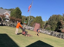 Avatar for Lucas's Landscaping & Lawn Maintenance